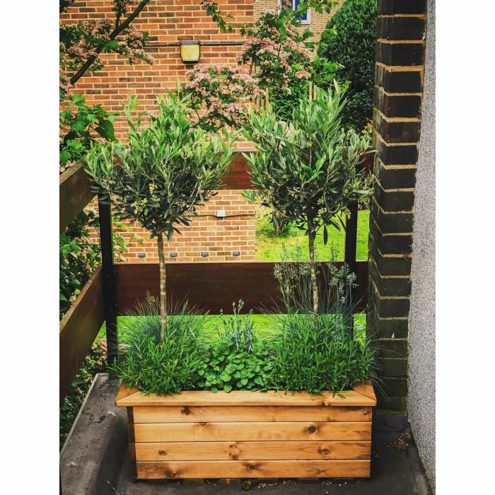 Charles Taylor 112cm Redwood Trough Planter 2 Charles Taylor 112cm Redwood Trough Planter - Image 2