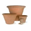 The Big One – Simply Massive Terracotta Pot Planter