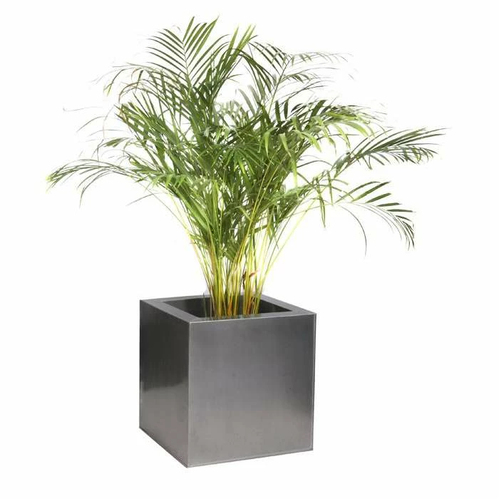 40cm Zinc Galvanised Silver Cube Planters - By Primrose™ 9 40cm Zinc Galvanised Silver Cube Planters - By Primrose™ - Image 9