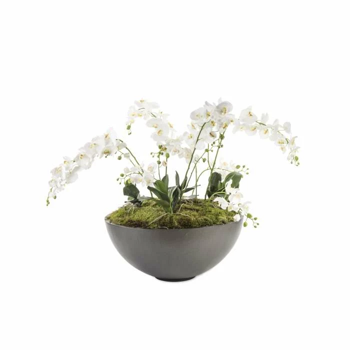 Shallow Bowl Planter - H36cm x D80cm 2 Shallow Bowl Planter - H36cm x D80cm - Image 2