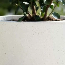 Cylinder 55cm Handmade Fiberstone Planter in White - Exclusive to Primrose -Cheap PLANTERS Store PP22WHTM PP22WHTL 2 289e