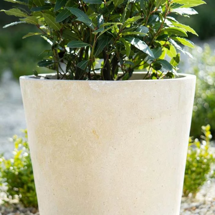 Round 45cm Handmade Fiberstone Planter in Cream - Exclusive to Primrose 2 Round 45cm Handmade Fiberstone Planter in Cream - Exclusive to Primrose - Image 2