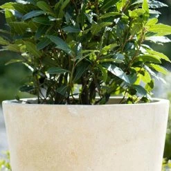 Round 60cm Handmade Fiberstone Planter in Cream - Exclusive to Primrose 9 Round 60cm Handmade Fiberstone Planter in Cream - Exclusive to Primrose -Cheap PLANTERS Store PP23CRMS PP23CRM 2 562c