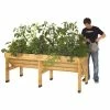 VegTrug Medium - 183cm x 76cm (H80cm)