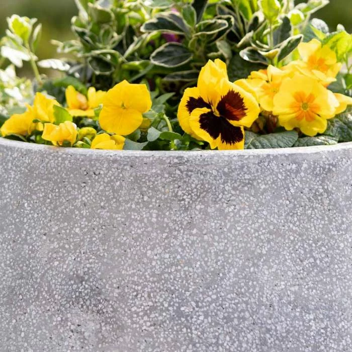 Oval 50cm Handmade Fiberstone Planter in Grey - Exclusive to Primrose 2 Oval 50cm Handmade Fiberstone Planter in Grey - Exclusive to Primrose - Image 2