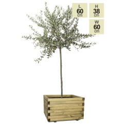 50cm Medium Wooden Pine Raised Cube Planter -Cheap PLANTERS Store PP3422 main image.png bb9a