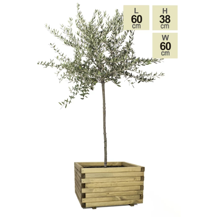 60cm Large Wooden Pine Raised Cube Planter 7 60cm Large Wooden Pine Raised Cube Planter - Image 7