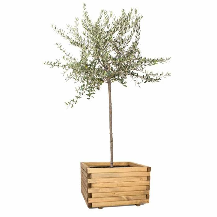 60cm Large Wooden Pine Raised Cube Planter 1 60cm Large Wooden Pine Raised Cube Planter