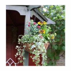 Smart Garden Hanging Basket Planter - 36cm (14")