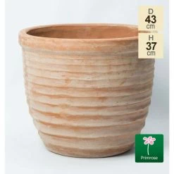 D43cm Terracotta Egg Planter