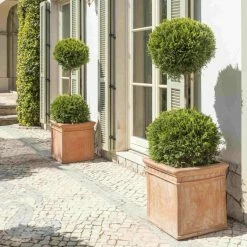 H50cm Large Light Terracotta Large Cube Planter