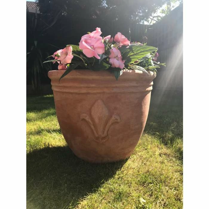 D30cm Terracotta Pot With Fleur De Lis 8 D30cm Terracotta Pot With Fleur De Lis - Image 8