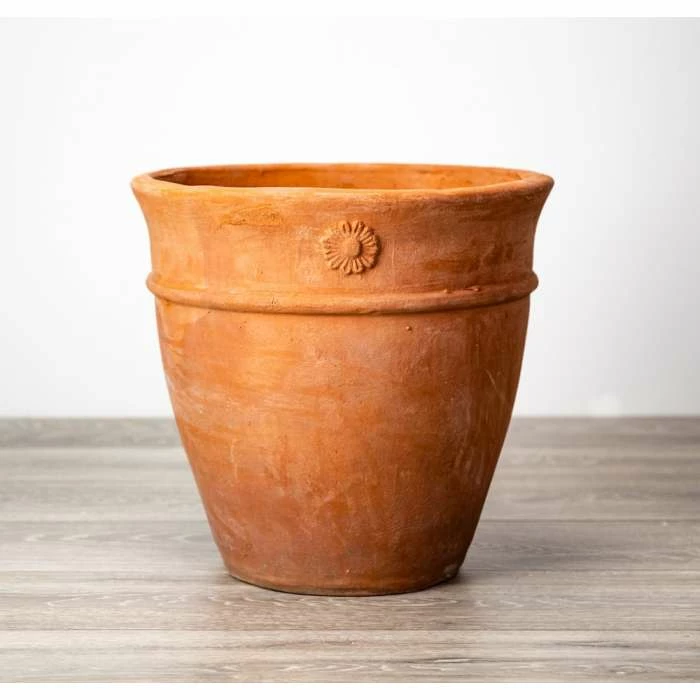 Round Terracotta Planters - Mixed Set of 2 - D27/36cm 2 Round Terracotta Planters - Mixed Set of 2 - D27/36cm - Image 2
