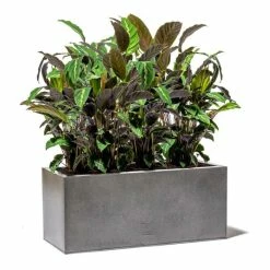 75cm Trough Zinc Silver & Black Textured Dipped Galvanised Planter 8 75cm Trough Zinc Silver & Black Textured Dipped Galvanised Planter -Cheap PLANTERS Store PP40760 add image 4 32b1