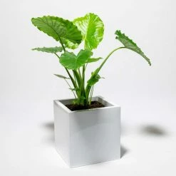 60cm Cube Zinc White Gloss Dipped Galvanised Planter -Cheap PLANTERS Store PP40762 add image 4 38cf