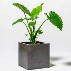 40cm Cube Zinc Silver & Black Textured Dipped Galvanised Planter 8 40cm Cube Zinc Silver & Black Textured Dipped Galvanised Planter -Cheap PLANTERS Store PP40769 add image 4 c44b