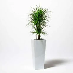 90cm Flared Square Zinc White Gloss Dipped Galvanised Plante -Cheap PLANTERS Store PP40771 add image 4 9732