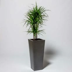 90cm Flared Square Zinc Silver & Black Textured Dipped Galvanised Planter 8 90cm Flared Square Zinc Silver & Black Textured Dipped Galvanised Planter -Cheap PLANTERS Store PP40772 add image 4 e083