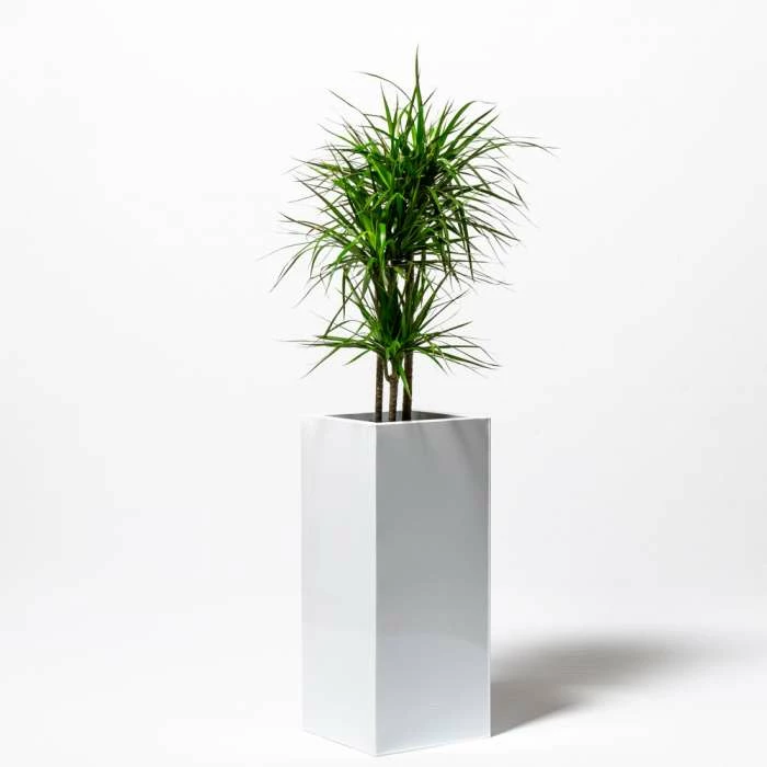 75cm Tall Cube Zinc White Gloss Dipped Galvanised Planter 2 75cm Tall Cube Zinc White Gloss Dipped Galvanised Planter - Image 2