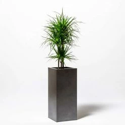 75cm Tall Cube Zinc Silver & Black Textured Dipped Galvanised Planter 7 75cm Tall Cube Zinc Silver & Black Textured Dipped Galvanised Planter -Cheap PLANTERS Store PP40781 add image 4 f160