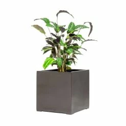 40cm Metallic Grey Polystone Cube Planter 8 40cm Metallic Grey Polystone Cube Planter -Cheap PLANTERS Store PP40907 add image 2 2721