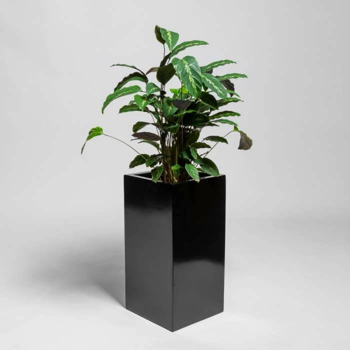 80cm Black Gloss Polystone Tall Cubic Planter 1 80cm Black Gloss Polystone Tall Cubic Planter