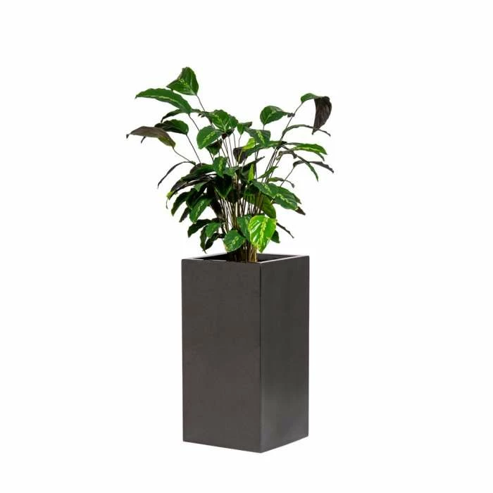 60cm Metallic Grey Polystone Tall Cubic Planter 1 60cm Metallic Grey Polystone Tall Cubic Planter
