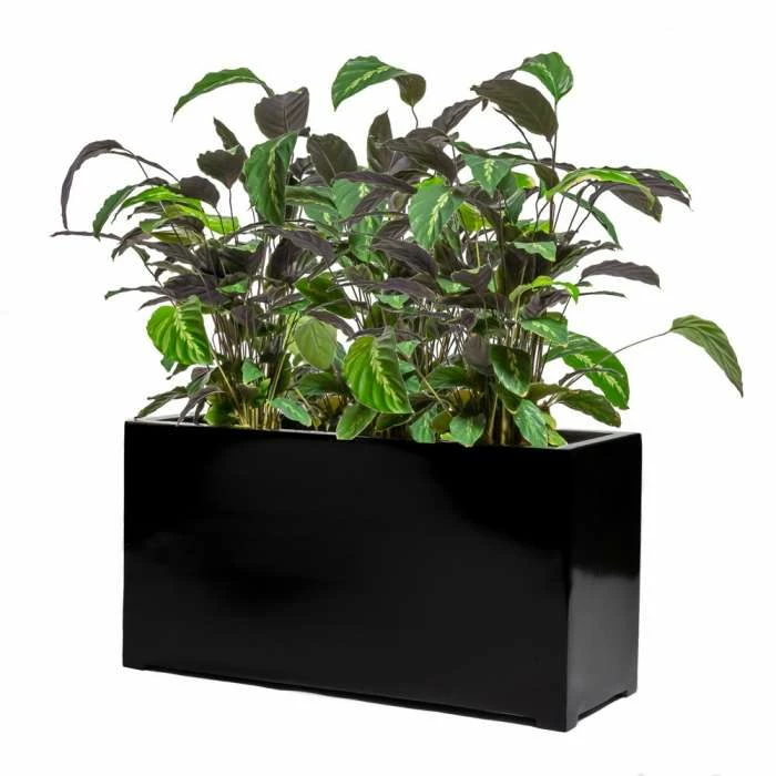 100cm Black Gloss Polystone Trough Planter 1 100cm Black Gloss Polystone Trough Planter