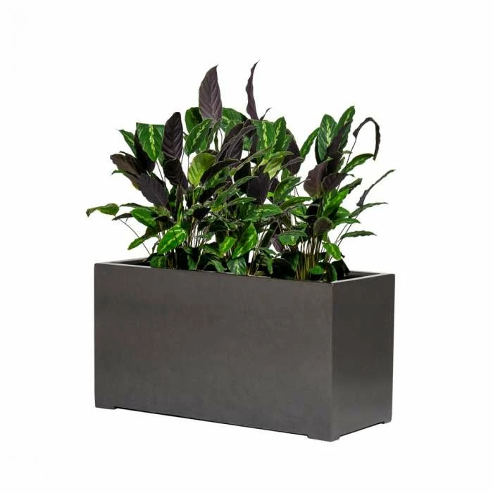 100cm Grey Gloss Polystone Trough Planter 1 100cm Grey Gloss Polystone Trough Planter