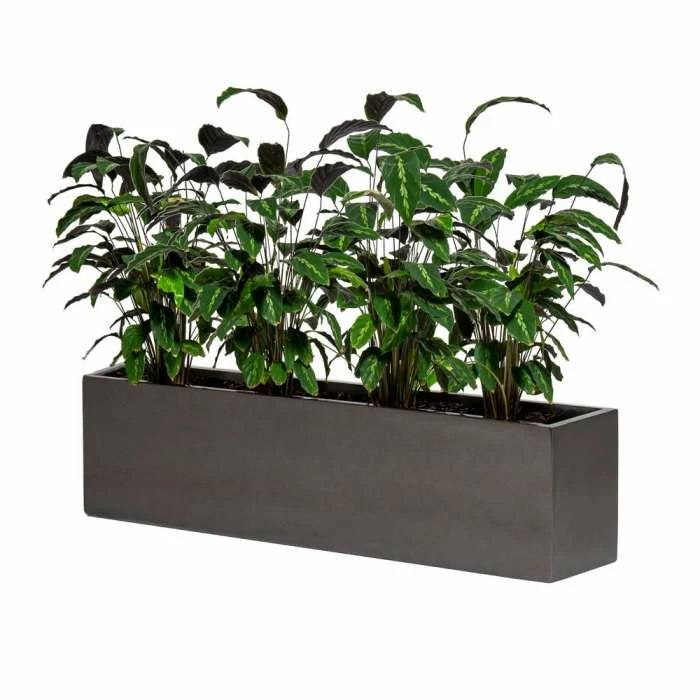 120cm Metallic Grey Polystone Low Trough Planter 1 120cm Metallic Grey Polystone Low Trough Planter
