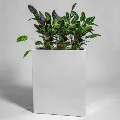 80cm White Gloss Polystone High Trough Planter -Cheap PLANTERS Store PP40990 add image 1 d1dc