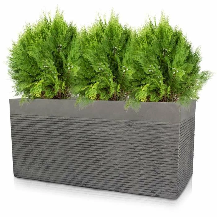 80cm Large Light Grey Fibrecotta Brick Design Trough Planter - By Primrose™ 3 80cm Large Light Grey Fibrecotta Brick Design Trough Planter - By Primrose™ - Image 3