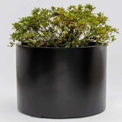 H50cm Large Stone Composite Low Cylinder Planter in Black -Cheap PLANTERS Store PP5022BL add image 2 75f3