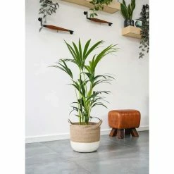23cm Jute Lined Planter Basket