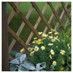 6ft Wooden Venice Trough and Trellis Planter 7 6ft Wooden Venice Trough and Trellis Planter -Cheap PLANTERS Store PP6091 add image 2 3c51