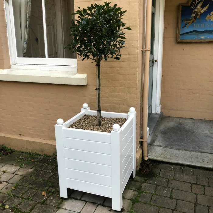 H80cm Fibreglass Versailles Style Planter in Matt Finish 2 H80cm Fibreglass Versailles Style Planter in Matt Finish - Image 2