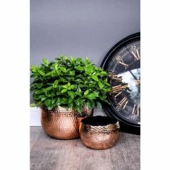 19cm Hammered Bowl Planter -Cheap PLANTERS Store PP678 PP679 L3 9ad5
