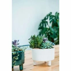 19cm Bowl Planter with Feet -Cheap PLANTERS Store PP683 L1 be67