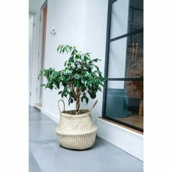 35cm Seagrass Chevron Lined Planter Basket