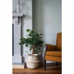 35cm Seagrass Tribal Lined Planter Basket