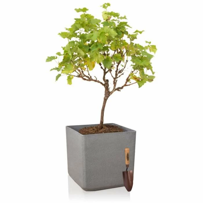 H48cm Volcanic Grey Square Planter - By Primrose™ 2 H48cm Volcanic Grey Square Planter - By Primrose™ - Image 2