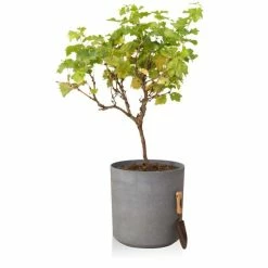 H43cm Volcanic Grey Cylinder Planter - By Primrose™ -Cheap PLANTERS Store PP7784 add image 3 b018