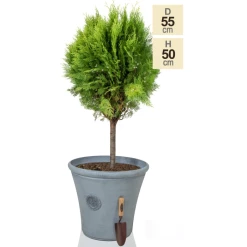 H50cm Continental Grey Round Tuscan Planter - By Primrose™ 7 H50cm Continental Grey Round Tuscan Planter - By Primrose™ -Cheap PLANTERS Store PP7790 main image 54ed