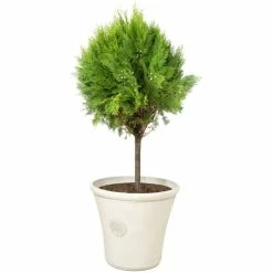 H44.5cm Smokey Cream Round Tuscan Planter - By Primrose™ -Cheap PLANTERS Store PP7793 add image 2 b841