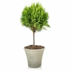 H44.5cm River Mist Round Tuscan Planter - By Primrose™ 6 H44.5cm River Mist Round Tuscan Planter - By Primrose™ -Cheap PLANTERS Store PP7797 add image 2 3c06