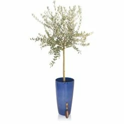 H75cm Pacific Blue Cylinder Planter - By Primrose™ -Cheap PLANTERS Store PP7800 add image 2 a895