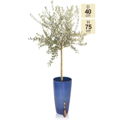 H75cm Pacific Blue Cylinder Planter - By Primrose™ -Cheap PLANTERS Store PP7800 main image e14c