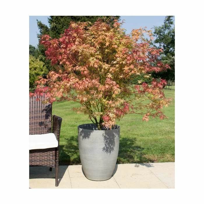 53cm Grey Cortina Stone Cone Planter - By Primrose™ 1 53cm Grey Cortina Stone Cone Planter - By Primrose™