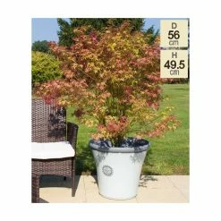 56cm Tuscan Round Planter in White with Grey 21 56cm Tuscan Round Planter in White with Grey -Cheap PLANTERS Store PP7854 add image 9 74f2