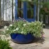 55cm Royal Blue Glaze Effect Bowl Planter - By Primrose™